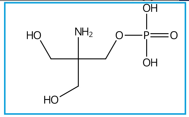 FOSFOMYCIN EP IMPURITY C